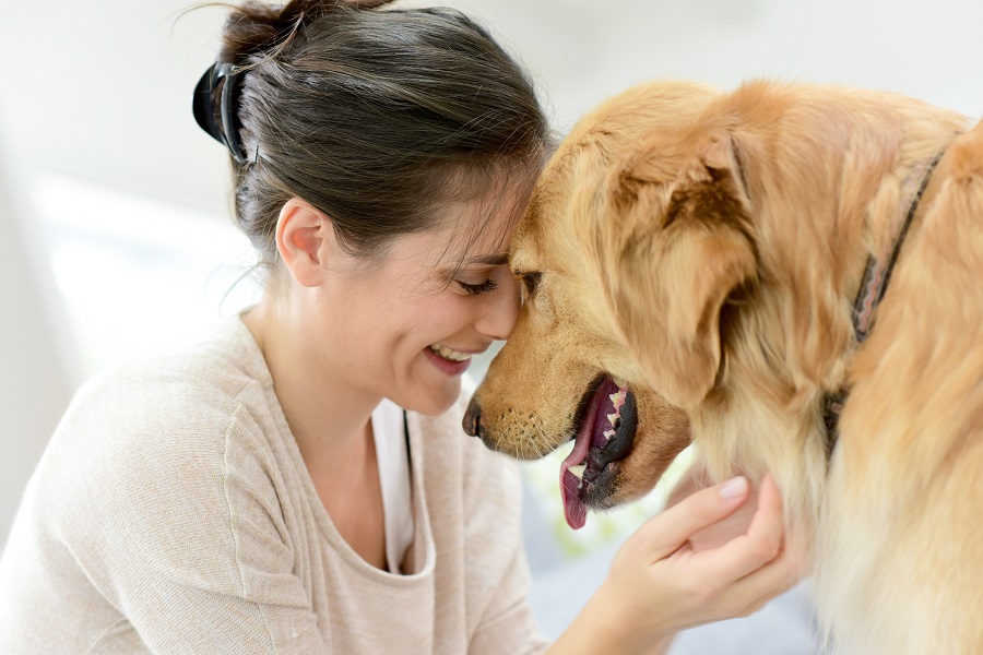 Back-to-School Time for Pets