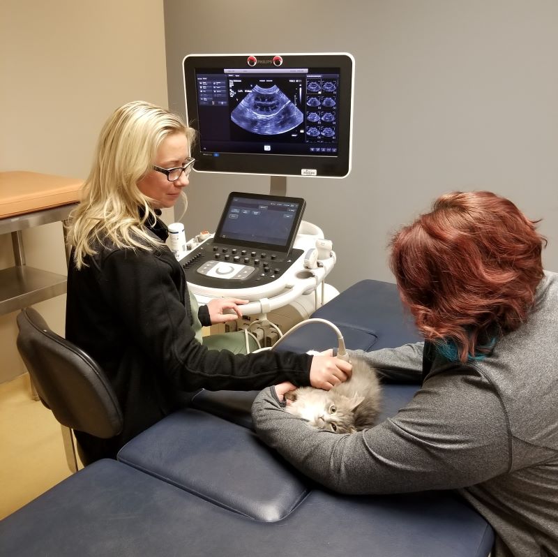 Ultrasound in Monroeville, PA at Avets 