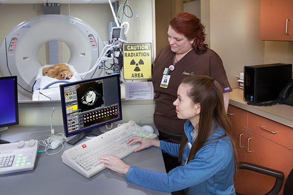 CT Scan in Monroeville, Pennsylvania at Avets