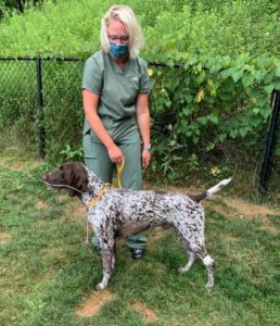 Gus, heat stroke patient, getting some exercise